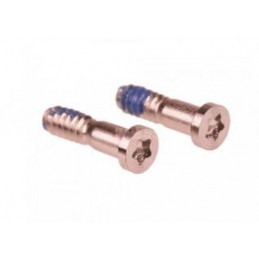 Lot de 10 vis Torx Rose...