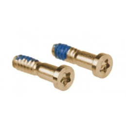 Lot de 10 vis Torx Or...