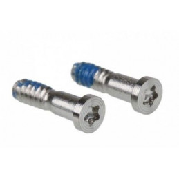 Lot de 10 vis Torx Argent...